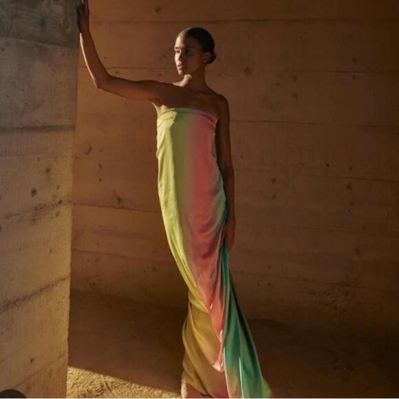 Baobab Collection Dresses & Skirts - Baobob NWTs Gianni Leaves Strapless Maxi Dress size small Green Yellow Flawed